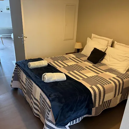 Centre Proche Chateau Et Gare 33 M2 * Pau