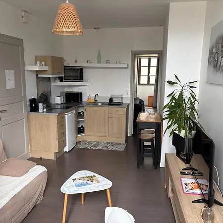 Apartman Centre Proche Chateau Et Gare 33 M2 *