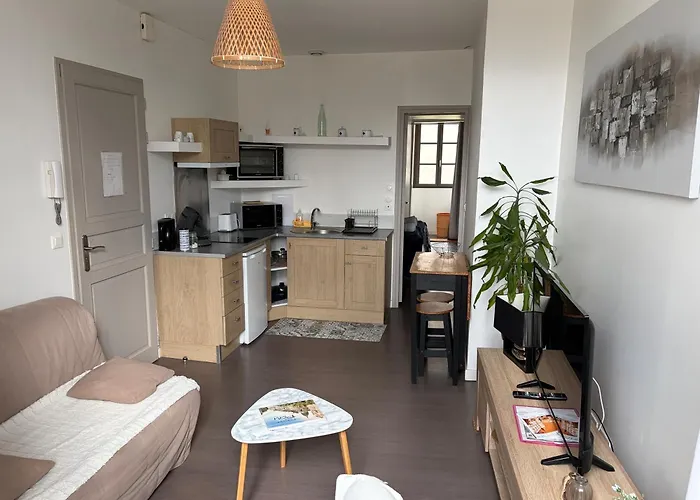 Apartman Centre Proche Chateau Et Gare 33 M2 *